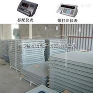 dcs-xc-ex各类规格，各类材质电子小地磅*