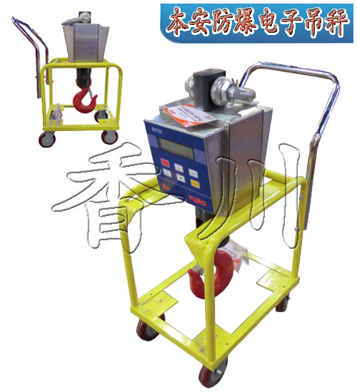 本安防爆电子吊称